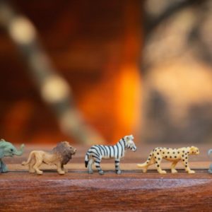 GIOCO ANIMALI